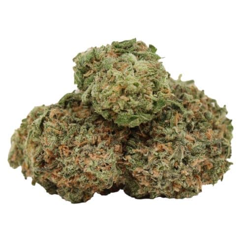 starburst strain cannabis