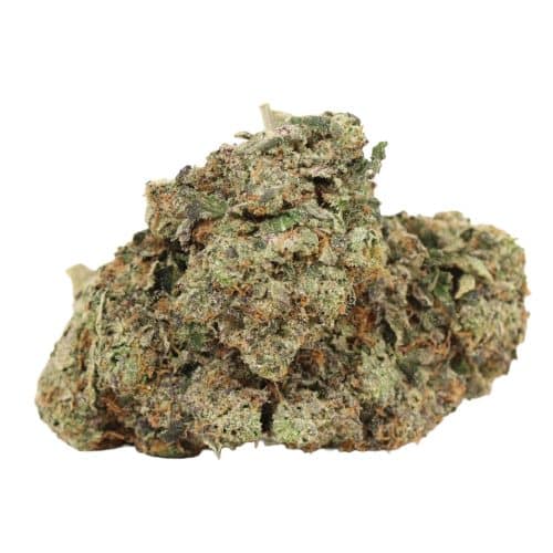 Super Pink Goo strain craft cannabis