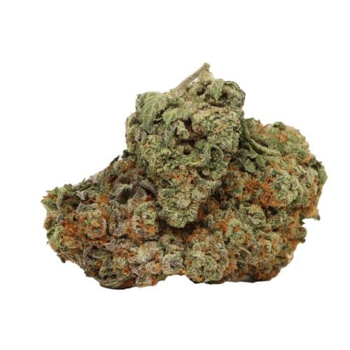 Tropicanna Banana strain cannabis