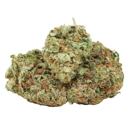 Tuna OG strain cannabis