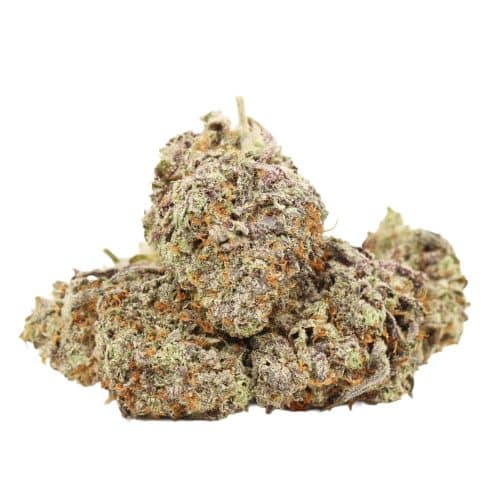 Unicorn Poop strain cannabis