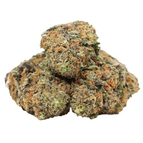 Purple Diamond strain cannabis