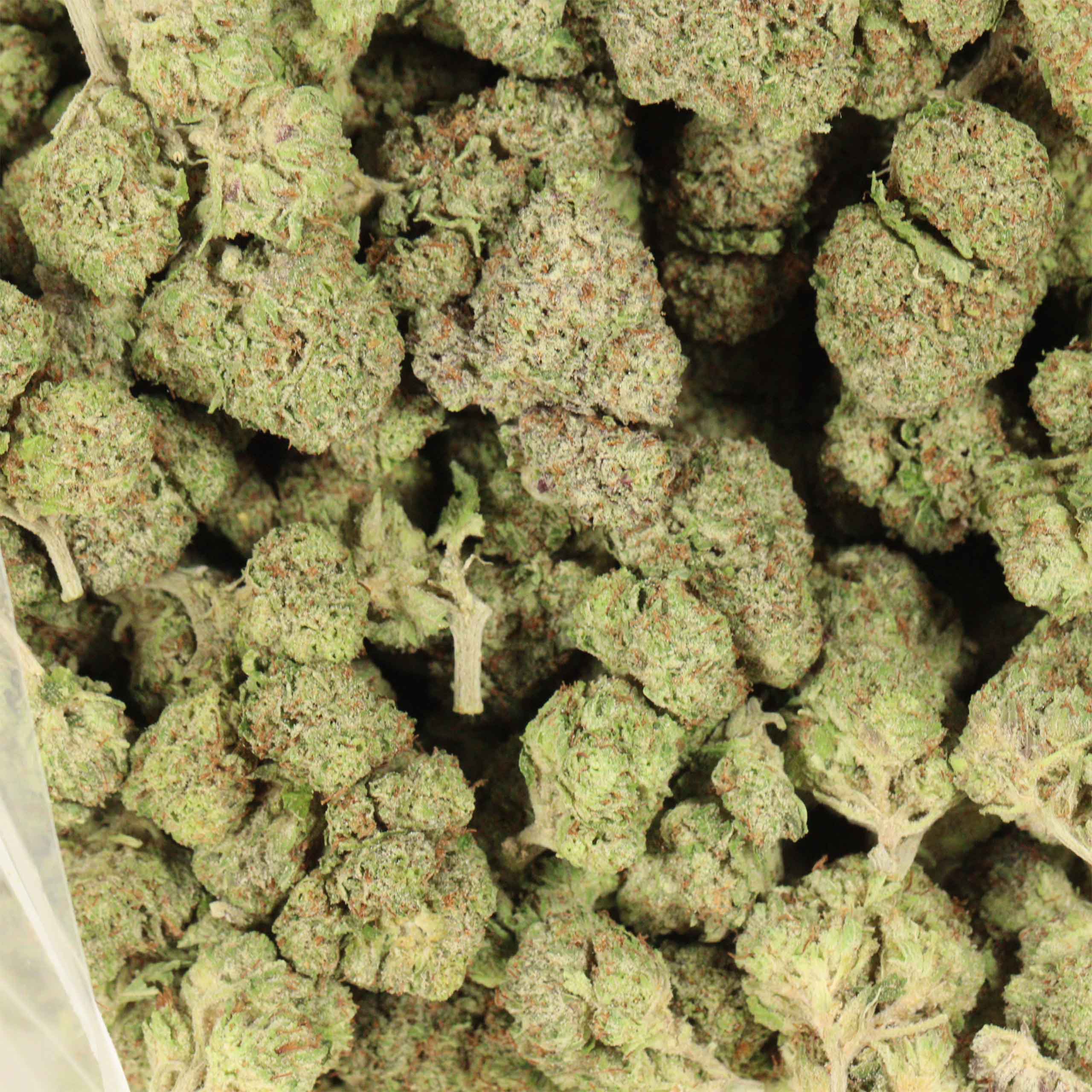 Afghani Death Bubba cannabis