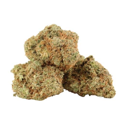 Afghani Kush strain cannabis