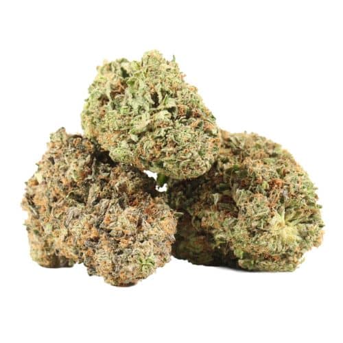 Afghani Pink strain cannabis