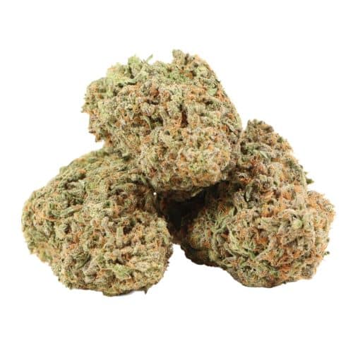 Alaskan Thunder Fuck strain cannabis