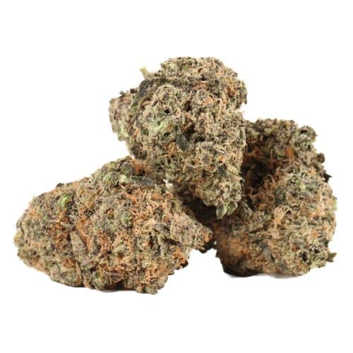 Ayahuasca Purple strain cannabis