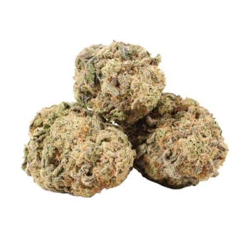 Banana Mac strain cannabis