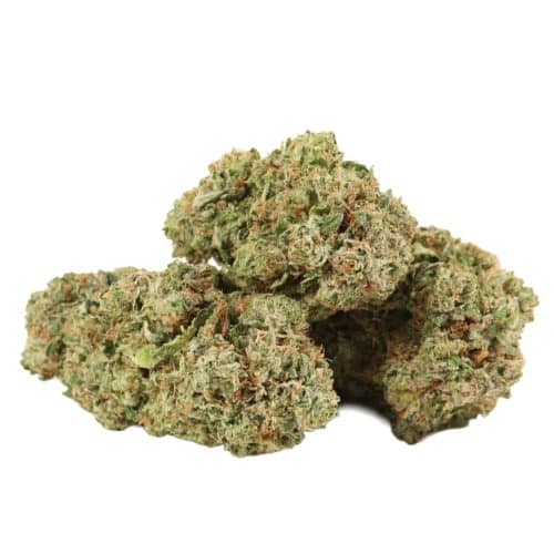 BC Pink Kush strain cannabis