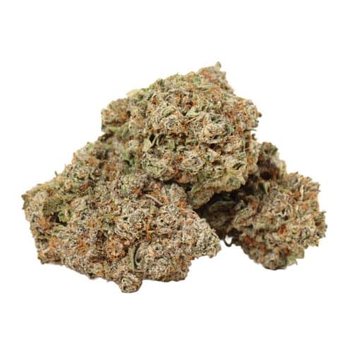 big drip strain cannabis