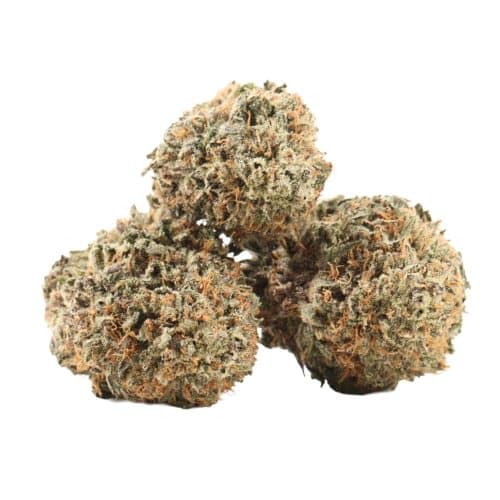 black cherry og strain cannabis