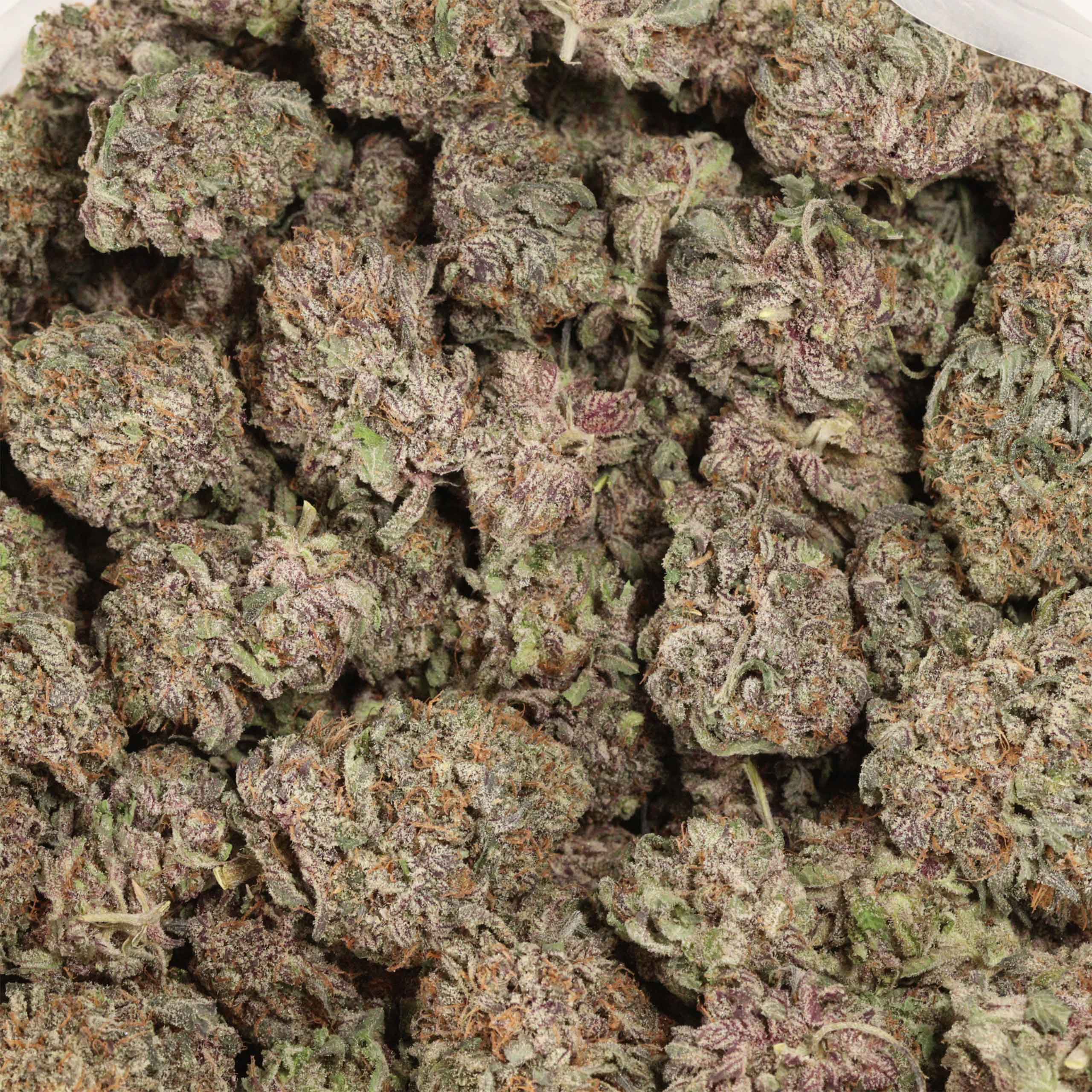 black cherry og cannabis wholesale