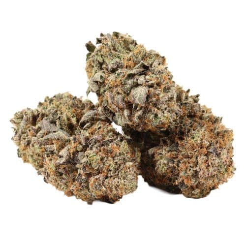 Black Gas strain craft cannabis