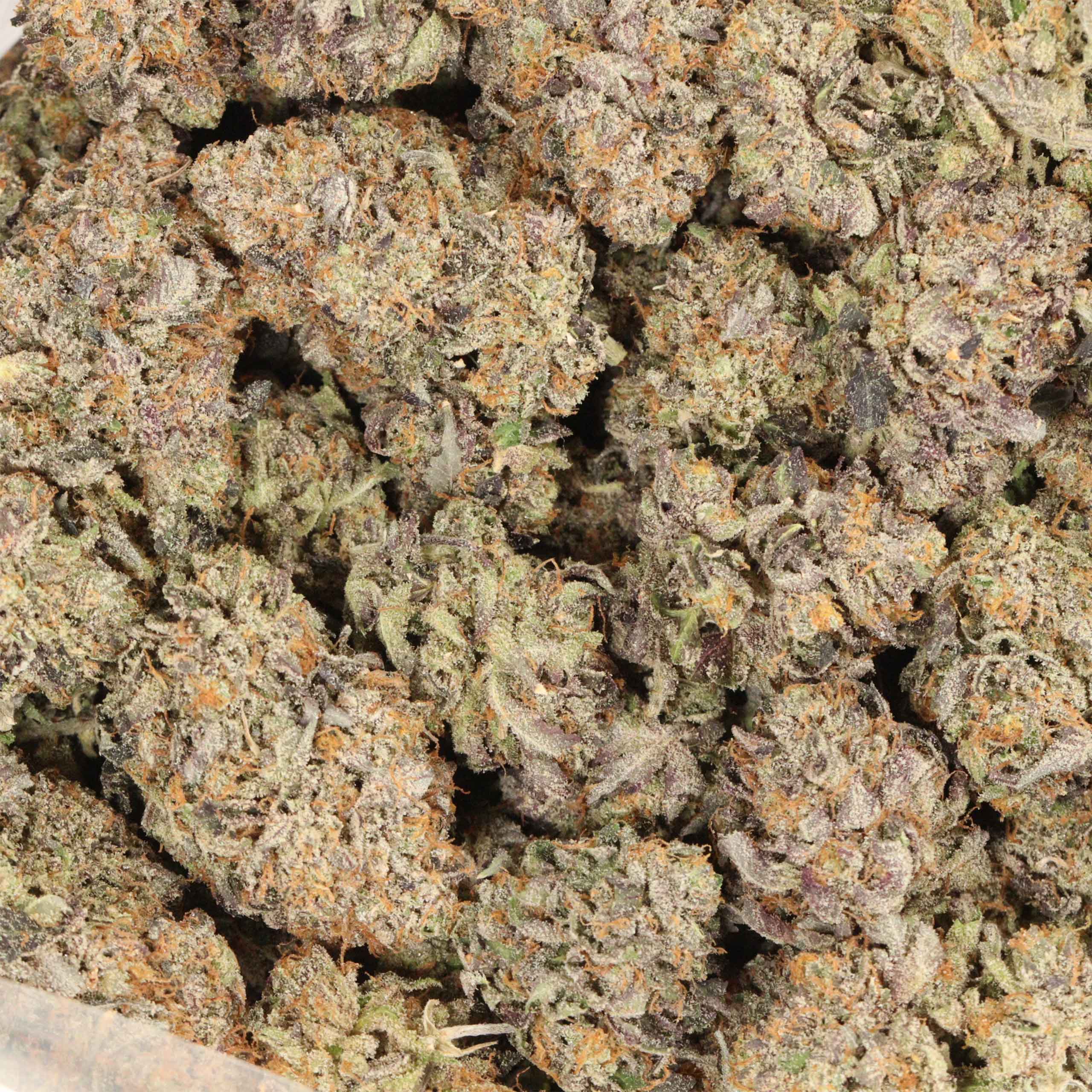 Black Gas craft cannabis