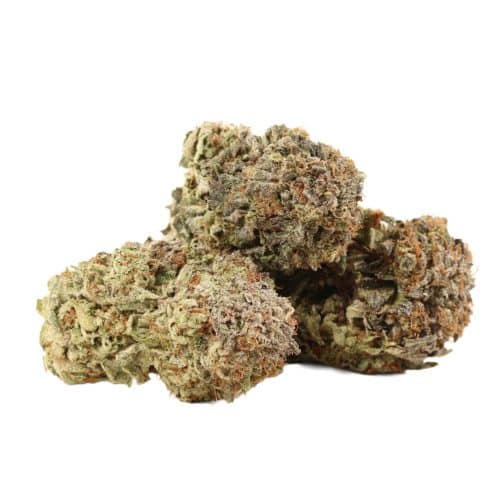 BlueFin Tuna strain cannabis