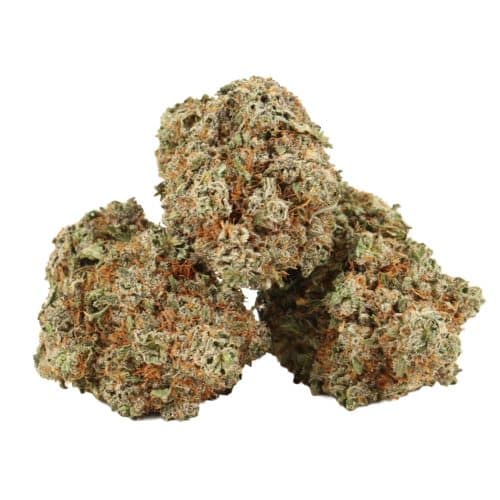 Bruce Banner strain cannabis