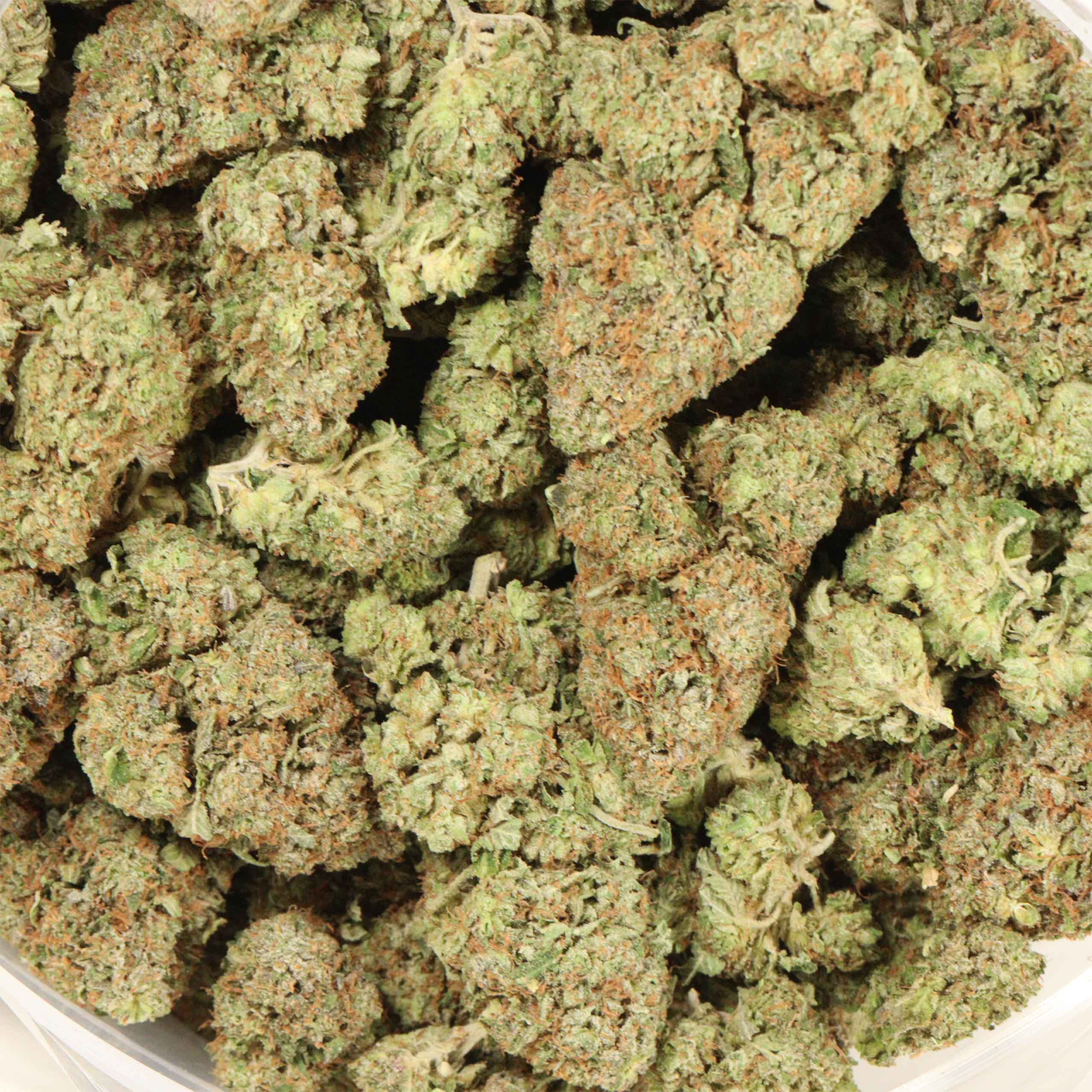 Caviar Pink Kush cannabis