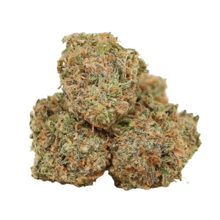 Chemo Kush strain cannabis