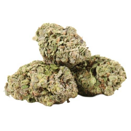 Dior Pink Kush strain cannabis