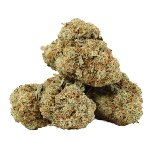 Dos Diablo strain cannabis