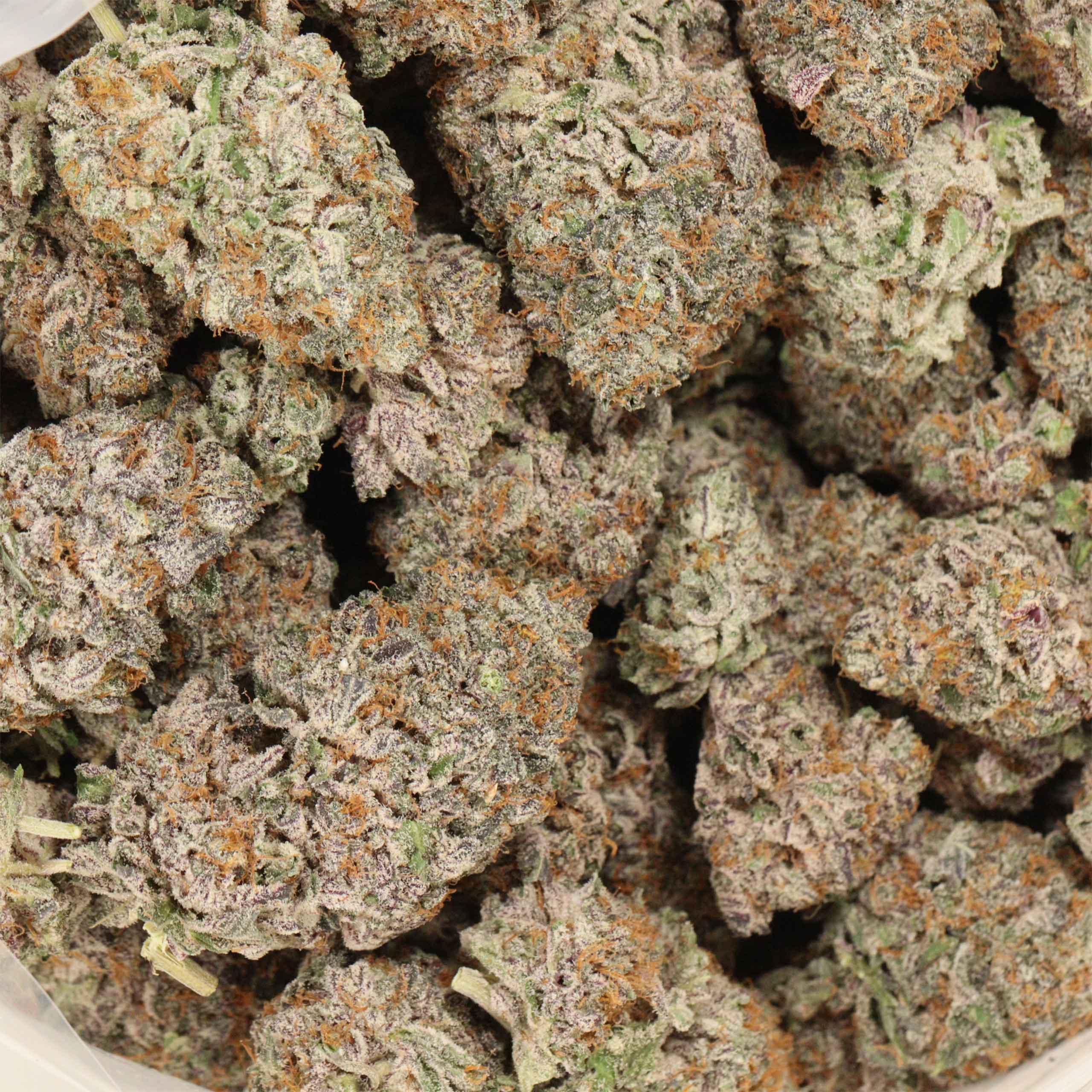 GrandDaddy Death cannabis