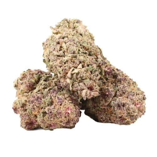 Grape Gasoline strain cannabis
