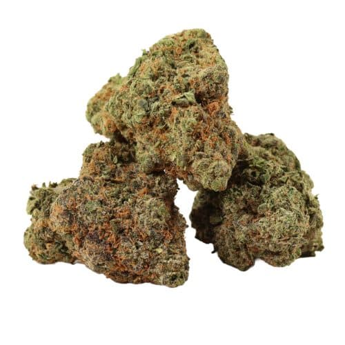 Guava Kush strain cannabis