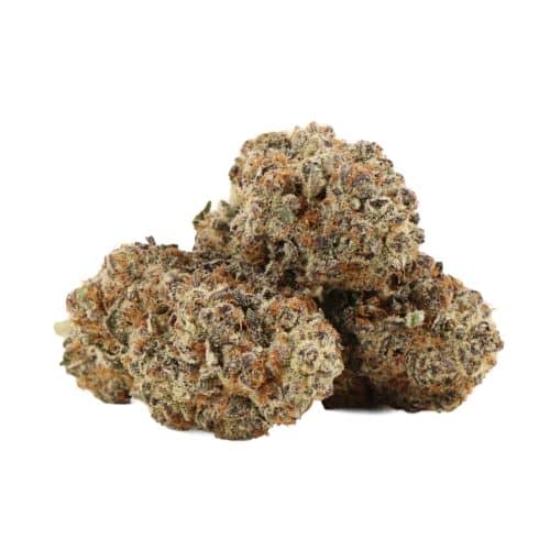 Happy Hour strain cannabis