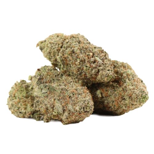 JackFruit strain cannabis