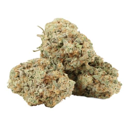 Khalifa Kush strain cannabis