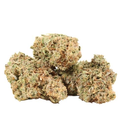 King Louis XIII strain cannabis