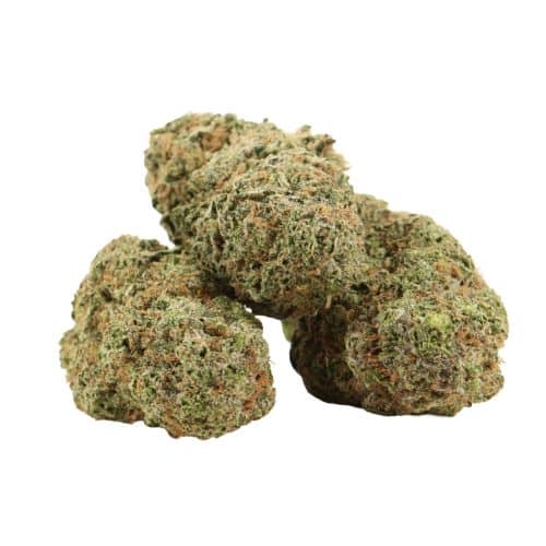 Lemon Kush strain cannabis