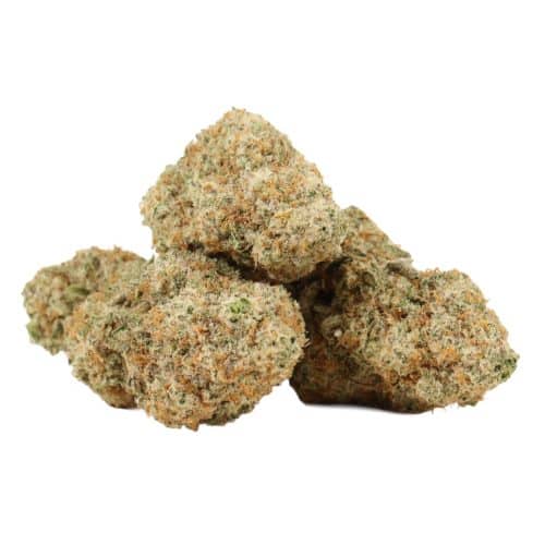 MAC 1 strain cannabis