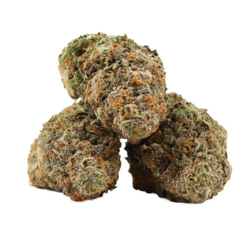 Maui Wowie strain cannabis