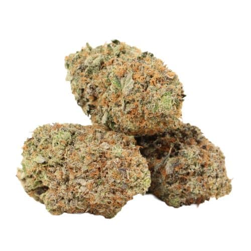 Mike Tyson OG strain cannabis