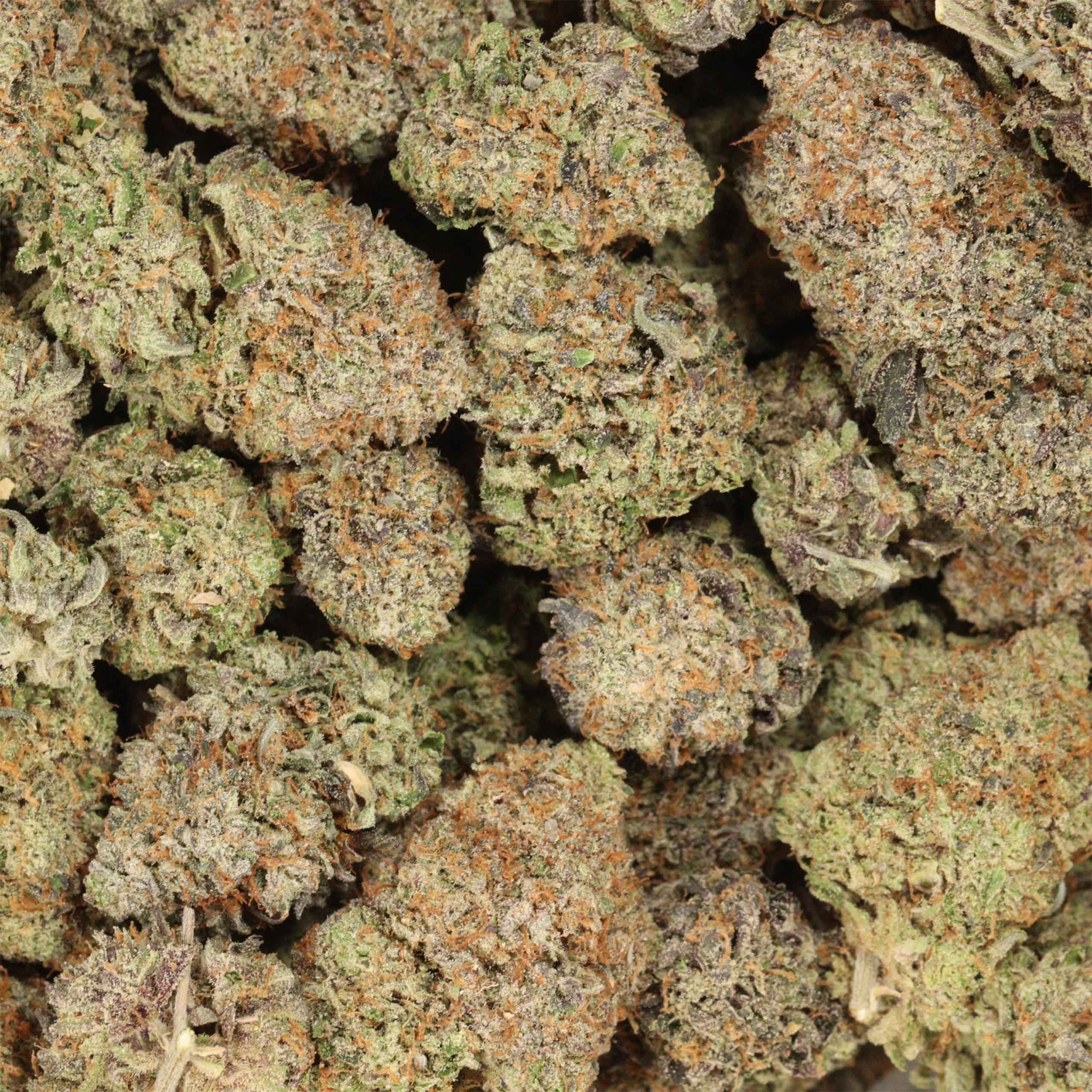 Mike Tyson OG cannabis