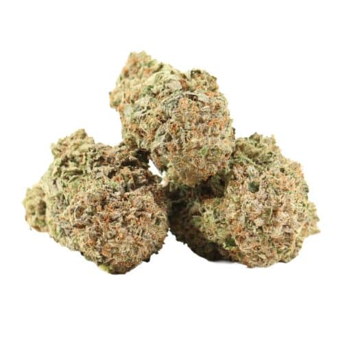 MK Ultra strain cannabis