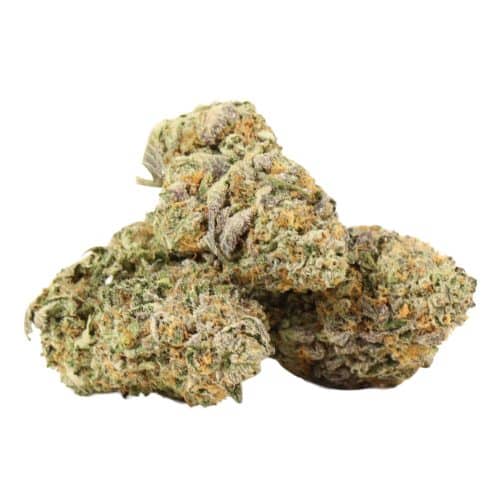 Northern Lights strain cannabis