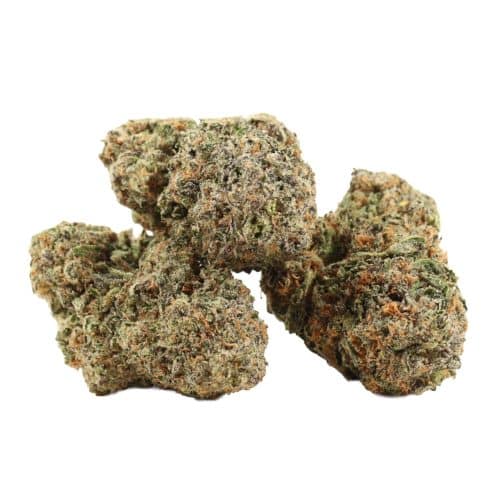 Peanut Butter Breath strain cannabis