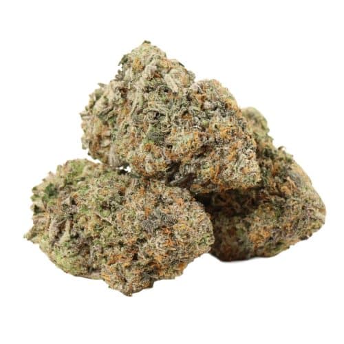 Pineapple Fanta strain cannabis