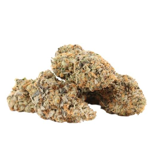 Pink Kush strain craft cannabis