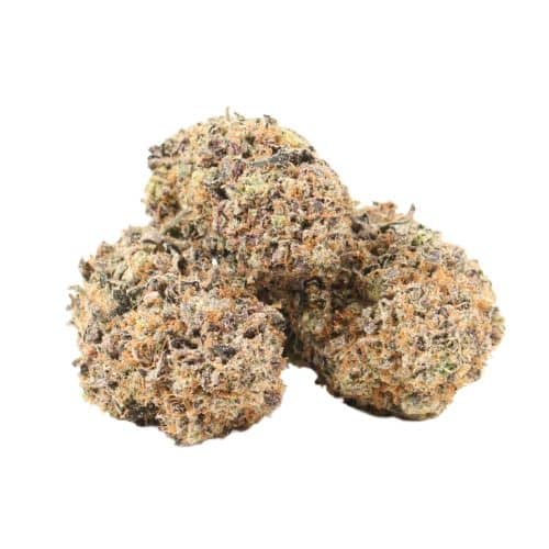 Pink Wagyu strain cannabis