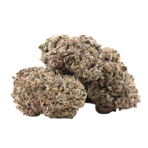 Purple Dank Breath strain cannabis