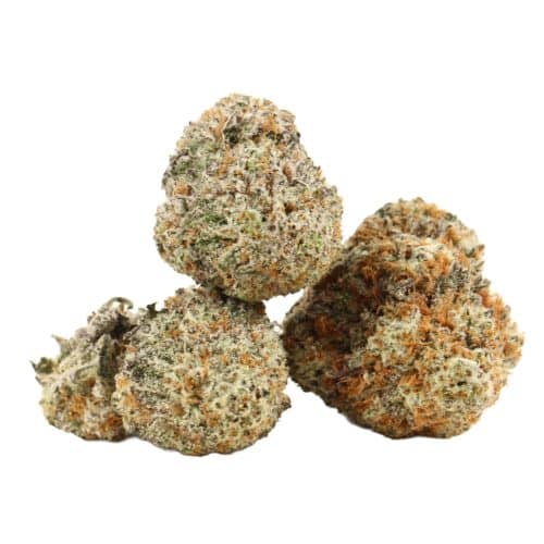 Purple Diamond strain cannabis