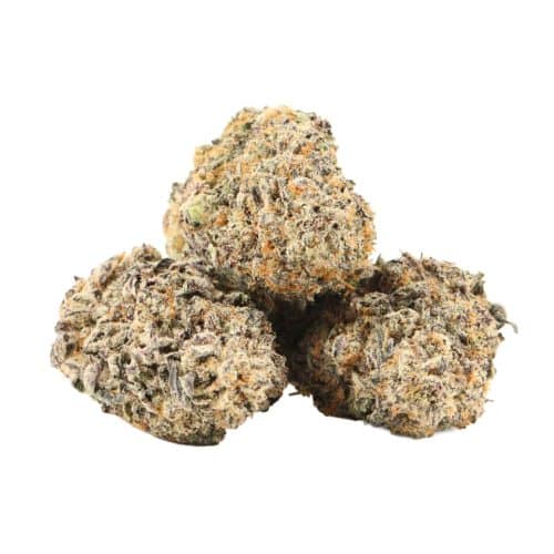 Purple Punchsicle strain craft cannabis