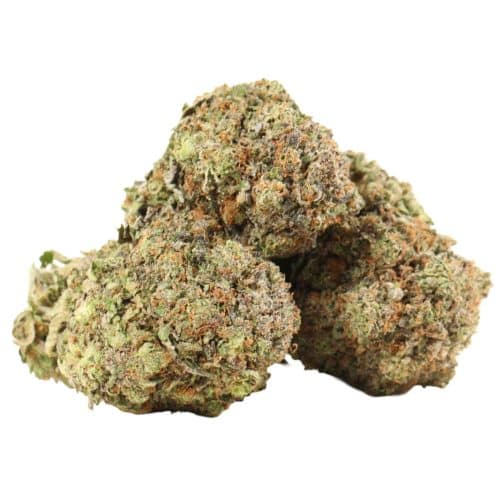 Rock Tuna strain craft cannabis