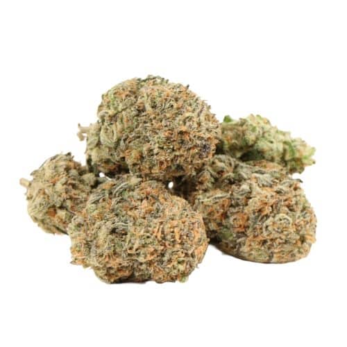 Silver Surfer strain cannabis