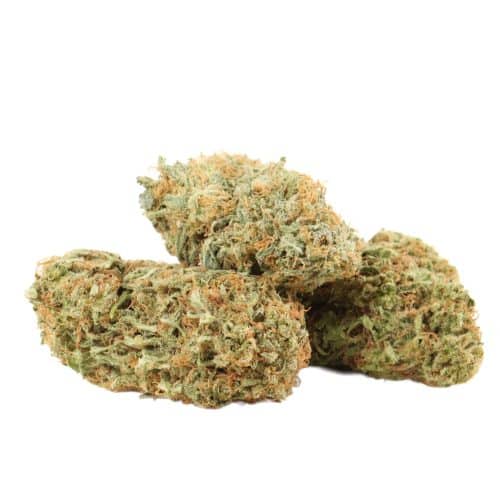 White Berry strain cannabis