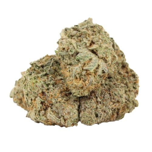 White Widow strain cannabis