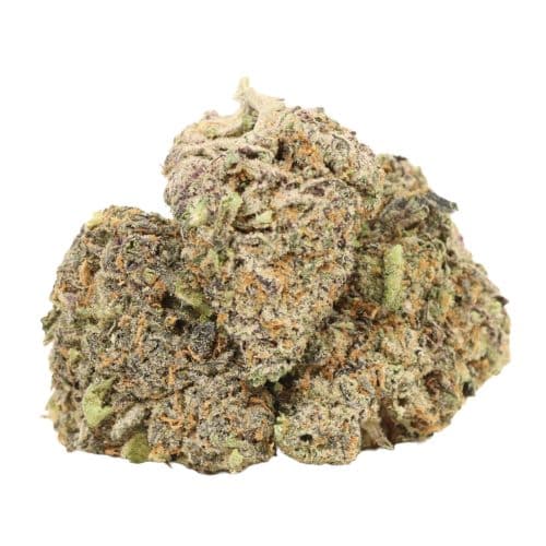 Four Star General strain cannabis